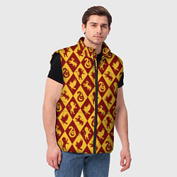 Мужской жилет Гарри Поттер факультеты, цвет: 3D-черный — фото 2