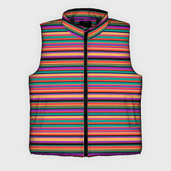 Мужской жилет Разноцветье