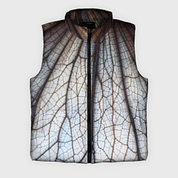 Мужской жилет Прожилки растения, цвет: 3D-черный
