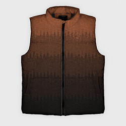 Мужской жилет Чёрно-коричневый полосы от светлого к тёмному