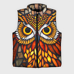 Мужской жилет Витраж с совой, цвет: 3D-черный