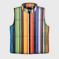 Мужской жилет Разноцветная полоска