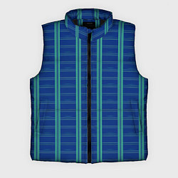 Мужской жилет Цвет синяя клетка, цвет: 3D-черный