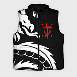 Мужской жилет Doom dragon steel, цвет: 3D-черный