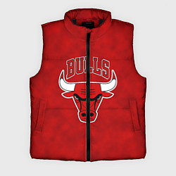 Мужской жилет NBA Chicago Bulls