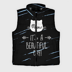 Мужской жилет Прекрасный день, цвет: 3D-светло-серый
