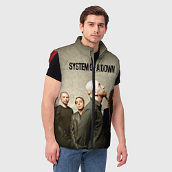 Мужской жилет System of a Down, цвет: 3D-красный — фото 2