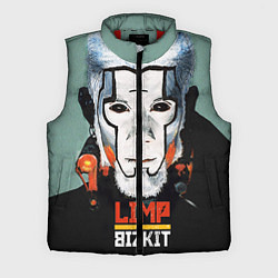 Мужской жилет Limp Bizkit: Faith Face