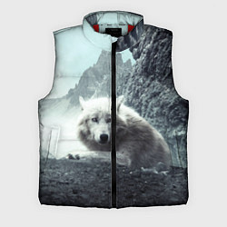 Мужской жилет Волк в горах, цвет: 3D-красный