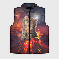 Мужской жилет Кот на вулкане, цвет: 3D-красный