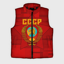 Мужской жилет СССР, цвет: 3D-черный