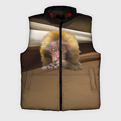 Мужской жилет Мартышка