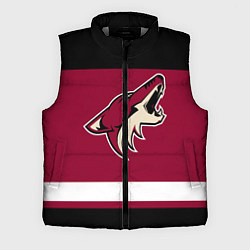 Мужской жилет Arizona Coyotes, цвет: 3D-светло-серый