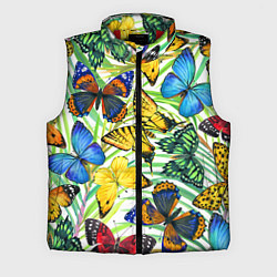 Мужской жилет Тропические бабочки