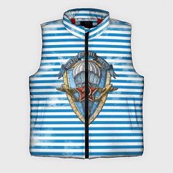 Мужской жилет ВДВ