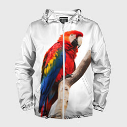 Ветровка с капюшоном мужская Яркий попугай, цвет: 3D-белый