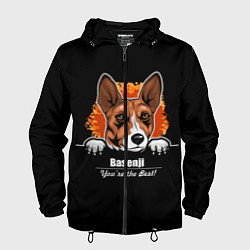 Мужская ветровка Басенджи Basenji