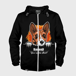 Ветровка с капюшоном мужская Басенджи Basenji, цвет: 3D-белый