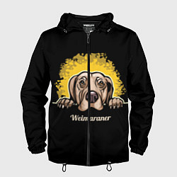 Мужская ветровка Веймаранер Weimaraner