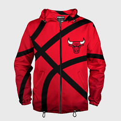 Ветровка с капюшоном мужская Чикаго Буллз Chicago Bulls NBA, цвет: 3D-черный