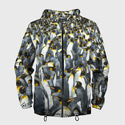 Ветровка с капюшоном мужская Пингвины Penguins, цвет: 3D-черный
