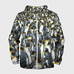 Ветровка с капюшоном мужская Пингвины Penguins, цвет: 3D-белый