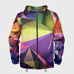 Мужская ветровка Geometric 3 D abstraction Геометрическая трехмерна