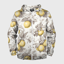 Ветровка с капюшоном мужская Лимоны - винтаж графика: паттерн, цвет: 3D-белый
