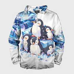 Мужская ветровка Пингвины и лёд