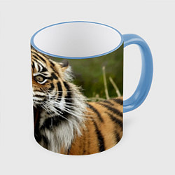 Кружка 3D Удивленный тигр, цвет: 3D-небесно-голубой кант