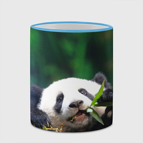Кружка цветная Панда на ветке / 3D-Небесно-голубой кант – фото 2