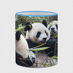 Кружка 3D Семейка панд, цвет: 3D-небесно-голубой кант — фото 2