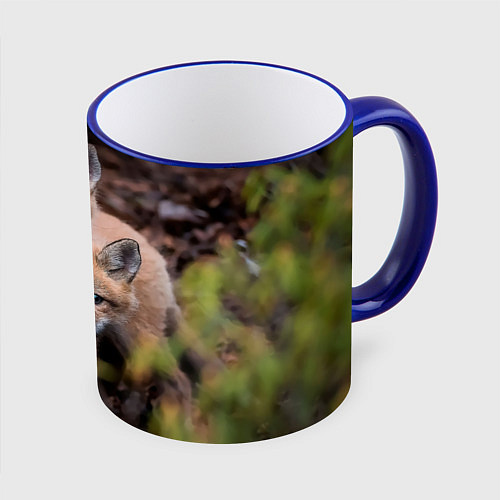 Кружка цветная Лисички фото / 3D-Синий кант – фото 1