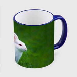 Кружка 3D Кролик на фоне травы, цвет: 3D-синий кант