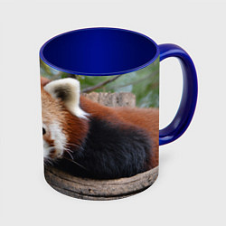 Кружка цветная Красная панда