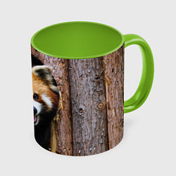 Кружка 3D Красная панда в дереве, цвет: 3D-белый + светло-зеленый