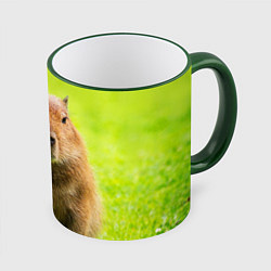 Кружка 3D Capybara on green grass, цвет: 3D-зеленый кант