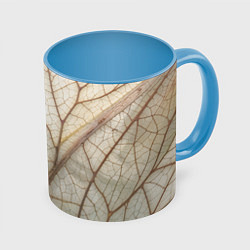 Кружка цветная Прожилки листика