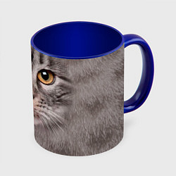 Кружка 3D Котик, цвет: 3D-белый + синий