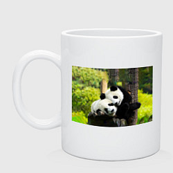 Кружка керамическая Влюблённые панды, цвет: белый