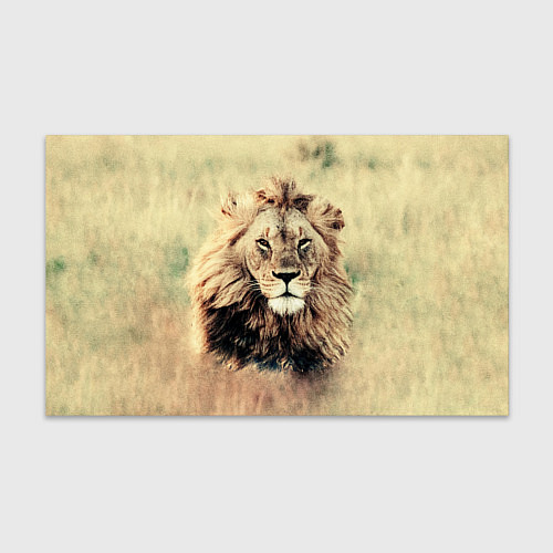 Бумага для упаковки Lion King / 3D-принт – фото 1