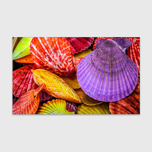 Бумага для упаковки Разноцветные ракушки multicolored seashells / 3D-принт – фото 1