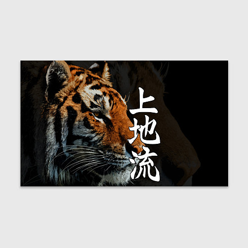 Бумага для упаковки Год тигра 2022 Взгляд / 3D-принт – фото 1