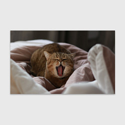 Бумага для упаковки Зевающий кот на кровати, цвет: 3D-принт