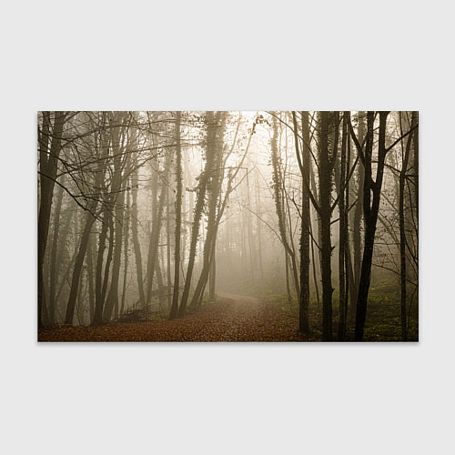 Бумага для упаковки Туманный лес на восходе / 3D-принт – фото 1