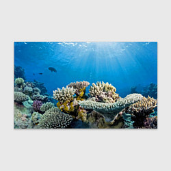 Бумага для упаковки Кораллы в тропических водах индийского океана, цвет: 3D-принт