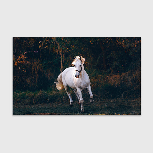 Бумага для упаковки Скачущая белая лошадь / 3D-принт – фото 1