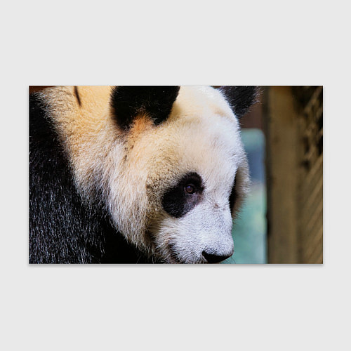 Бумага для упаковки Загадочная панда / 3D-принт – фото 1
