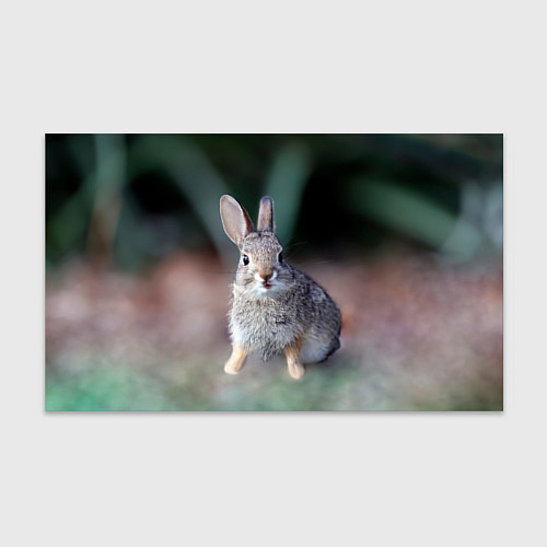 Бумага для упаковки Малыш кролик / 3D-принт – фото 1