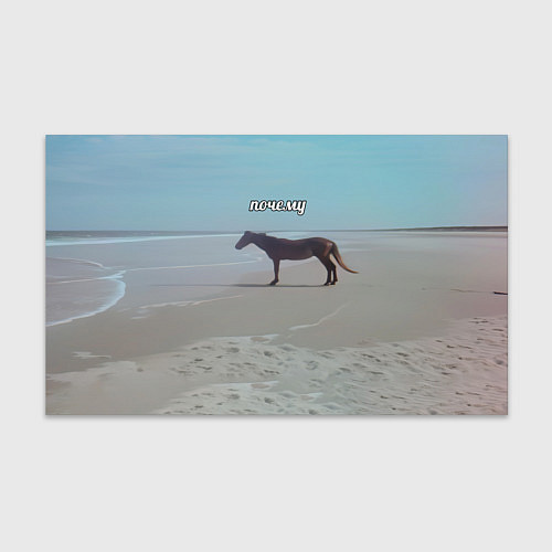 Бумага для упаковки Лошадь почему мем на берегу / 3D-принт – фото 1